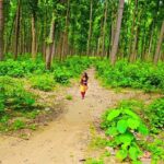 Kajal Nishad Instagram – ज़िंदगी,,, 💚🍀☘️🌱🍃🌿