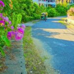 Kajal Nishad Instagram – 🚲