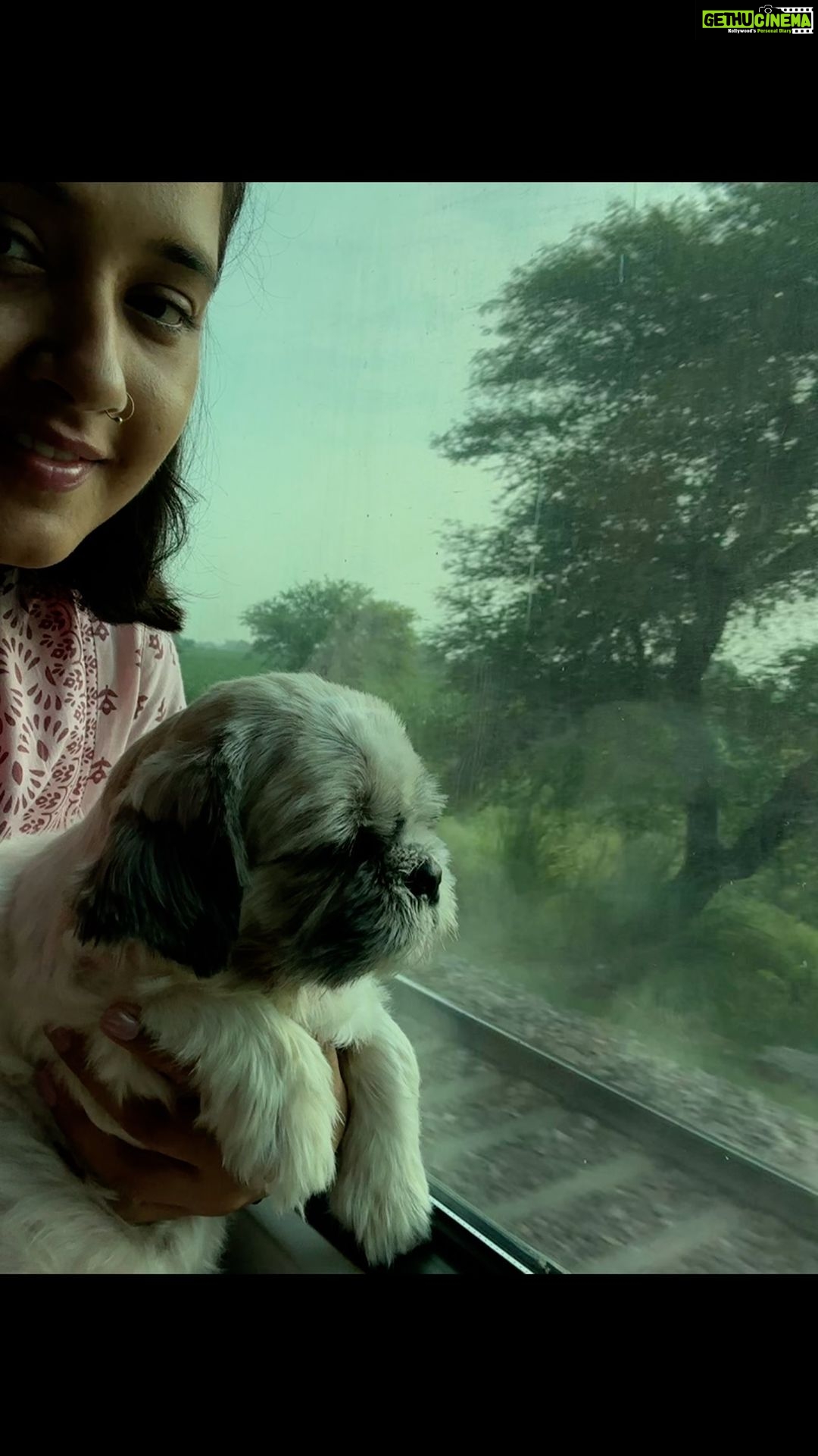 Kajal Raghwani Instagram - My life love cutie ☘️🧿✨♥️ Honey’s First journey by train 🚂 & honey loved it chook chook gadi🥰