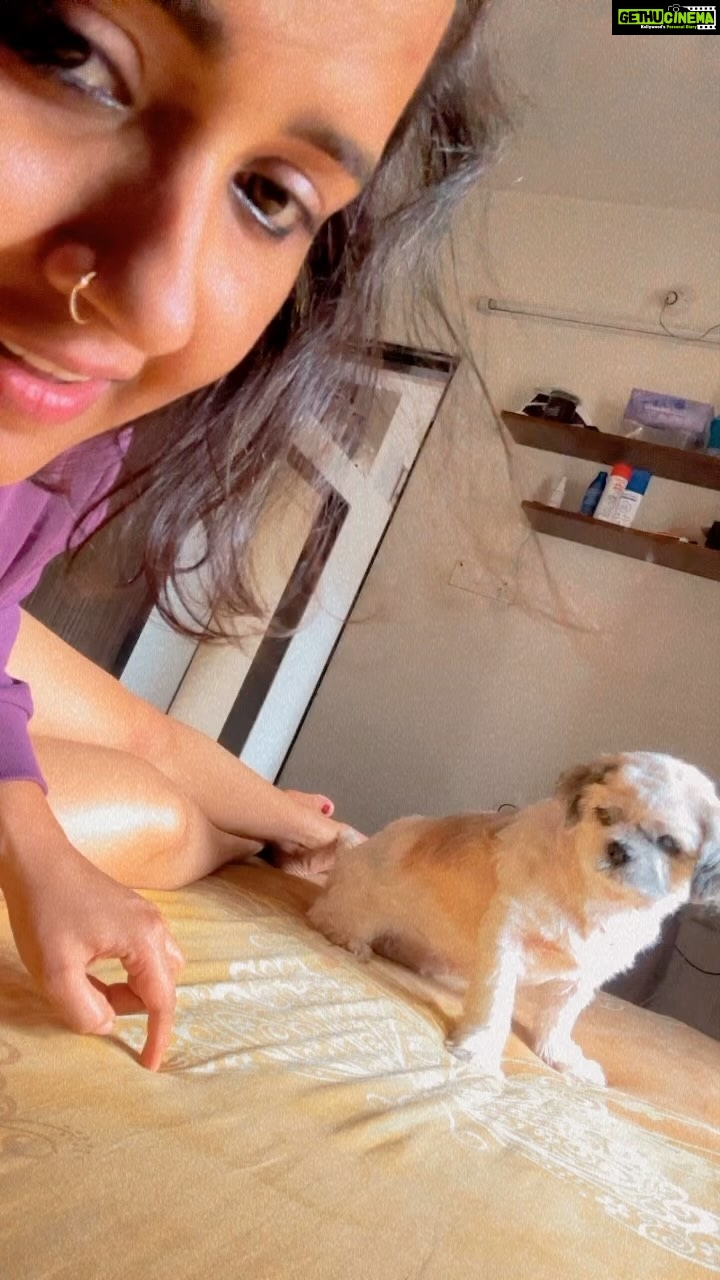 Kajal Raghwani Instagram - My world ♥️☘️🧿✨ Honey 🍯🐶
