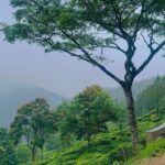 Kalyani Anil Instagram - PONMUDI 🌧️❄️ Ponmudi Hills Trivandrum