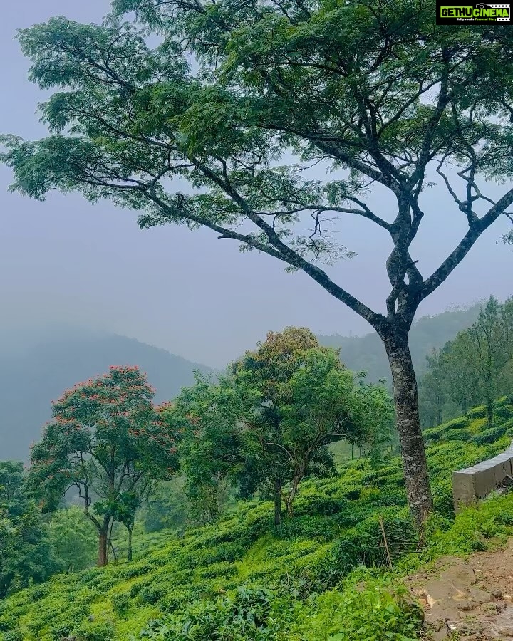 Kalyani Anil Instagram - PONMUDI 🌧️❄️ Ponmudi Hills Trivandrum