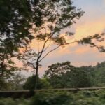 Kalyani Anil Instagram - Wayanad 🫶🏻 👖 @juneberry__official 📸 @deepthi8934 Wayanad,Kerala
