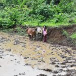 Kanchi Kaul Instagram - Getting mucky with it 😂😂😂😂😂As you sow so shall you reap ✅🌳🎋 #sowingseason #monsoon #organic #oldfashionedfood #theadventuresofAI #farmlife #neveradullmoment