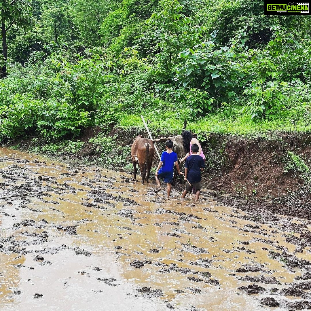 Kanchi Kaul Instagram - Getting mucky with it 😂😂😂😂😂As you sow so shall you reap ✅🌳🎋 #sowingseason #monsoon #organic #oldfashionedfood #theadventuresofAI #farmlife #neveradullmoment