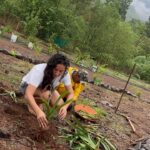 Kanchi Kaul Instagram - Project Lily!!! Lilies …. Such a delight always 🌺🌺 We had a few Lily bulbs ( <5 ) in the summer , which were carefully multiplied in pots . My landscaping team ( the littles 😁) then found a patch of land that required it to be marked with stones from the stream so that all the new Lilly babies could finally graduate from pot to ground just before the monsoon hits . This involved massive euphoria of digging , making the pot mud loose ,by collecting water from the rain and thus creating that lovely muck while little drizzles brushed past us !!! #mothernature #nature #monsoon #maharashtra #farming #projectlilly #chemicalfree #organic #theadventuresofAI #gadgetfreechildhood