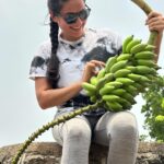 Kanchi Kaul Instagram - Summer blooms … 🌸💐🌺🌺🍌🍌🐶🐶 #farm #farmlife #homegrown #growmore #flowers #chemicalfree #nature #beauty #lovelovelove #reels #reelsinstagram