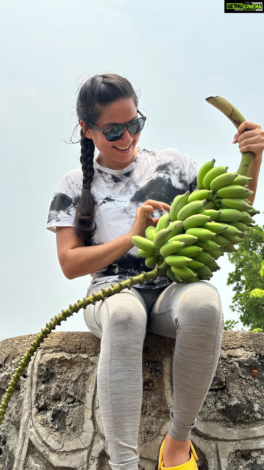 Kanchi Kaul Instagram - Summer blooms β¦ πΈππΊπΊπππΆπΆ #farm #farmlife #homegrown #growmore #flowers #chemicalfree #nature #beauty #lovelovelove #reels #reelsinstagram