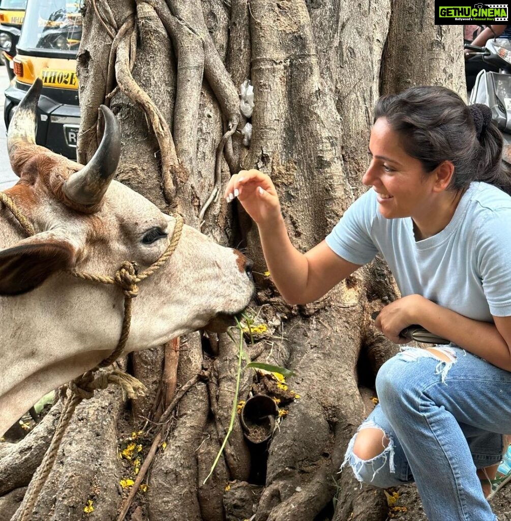 Kanchi Kaul Instagram - The symbol of the earth and the mother of all animals 🐄🐄 #thejoyoffeeding 💖