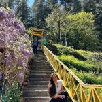 Kanchi Kaul Instagram - Sunny days ⛰️