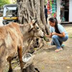 Kanchi Kaul Instagram - The symbol of the earth and the mother of all animals 🐄🐄 #thejoyoffeeding 💖