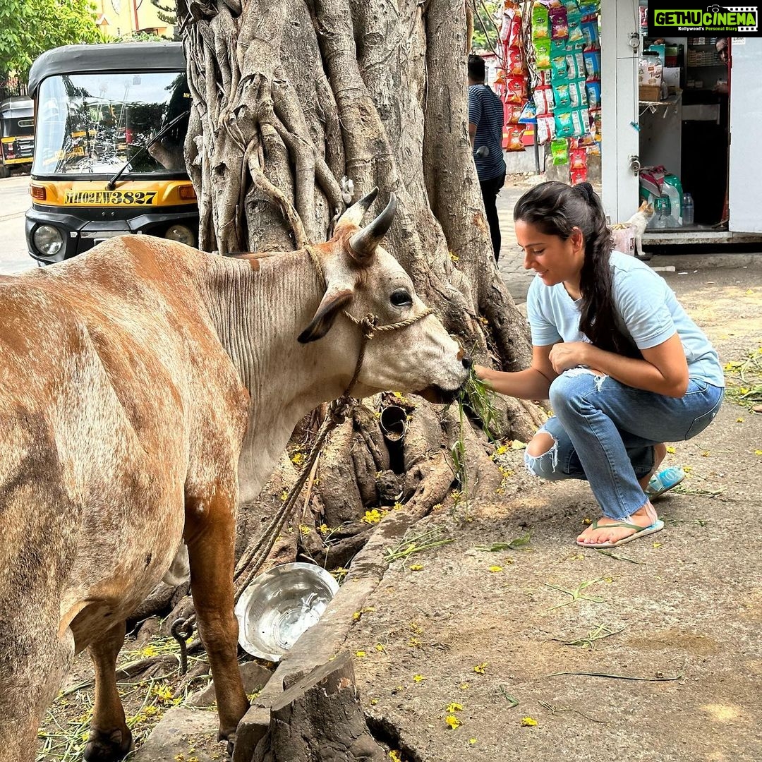 Kanchi Kaul Instagram - The symbol of the earth and the mother of all animals 🐄🐄 #thejoyoffeeding 💖