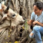 Kanchi Kaul Instagram - The symbol of the earth and the mother of all animals 🐄🐄 #thejoyoffeeding 💖