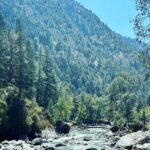Kanchi Kaul Instagram - Some more from the Parvati valley diaries……. Gorgeous setting of pine trees everywhere , rivulets across the crystal clear stream, behind the mountains and through the hills lies this unforgettable beauty … just cant get enough #kasol #parvativalley #chalal #himachalpradesh #nature #perfecto #incredibleindia 🏔️❤️‍🔥🫶🏻
