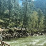 Kanchi Kaul Instagram - Some more from the Parvati valley diaries……. Gorgeous setting of pine trees everywhere , rivulets across the crystal clear stream, behind the mountains and through the hills lies this unforgettable beauty … just cant get enough #kasol #parvativalley #chalal #himachalpradesh #nature #perfecto #incredibleindia 🏔️❤️‍🔥🫶🏻