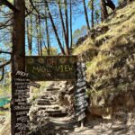 Kanchi Kaul Instagram - Kasol is delightful !!! This scenic village on the banks of the gushing Parvati River in Himachal Pradesh has an unhurried charm and an infectious vibe of its own. The backdrop of this hamlet is the Parvati valley and all its ever charming and quaint villages …. Everyday i would walk around in this “mini Israel” and i still feel I didn’t have enough… The adventurous trek to Chalal village from Kasol with all its trippy cafés through mud paths and innumerable coniferous trees and the sight of Parvati river all along the forest covered path made my day a dreamy and glorious one. Nature feels so good here that you will never want to leave Kasol. The mesmerizing views, beautiful greenery, amazing landscape, phenomenal weather are just some of the things that made this place so unforgettable ….. Until next time …. #kasol #nature #miniisrael #himachalpradesh #hippy #parvativalley #mountain #pahadi #incredibleindia#wanderlust #parvatiriver #theadventuresofAI