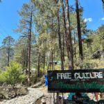 Kanchi Kaul Instagram - Kasol is delightful !!! This scenic village on the banks of the gushing Parvati River in Himachal Pradesh has an unhurried charm and an infectious vibe of its own. The backdrop of this hamlet is the Parvati valley and all its ever charming and quaint villages …. Everyday i would walk around in this “mini Israel” and i still feel I didn’t have enough… The adventurous trek to Chalal village from Kasol with all its trippy cafés through mud paths and innumerable coniferous trees and the sight of Parvati river all along the forest covered path made my day a dreamy and glorious one. Nature feels so good here that you will never want to leave Kasol. The mesmerizing views, beautiful greenery, amazing landscape, phenomenal weather are just some of the things that made this place so unforgettable ….. Until next time …. #kasol #nature #miniisrael #himachalpradesh #hippy #parvativalley #mountain #pahadi #incredibleindia#wanderlust #parvatiriver #theadventuresofAI