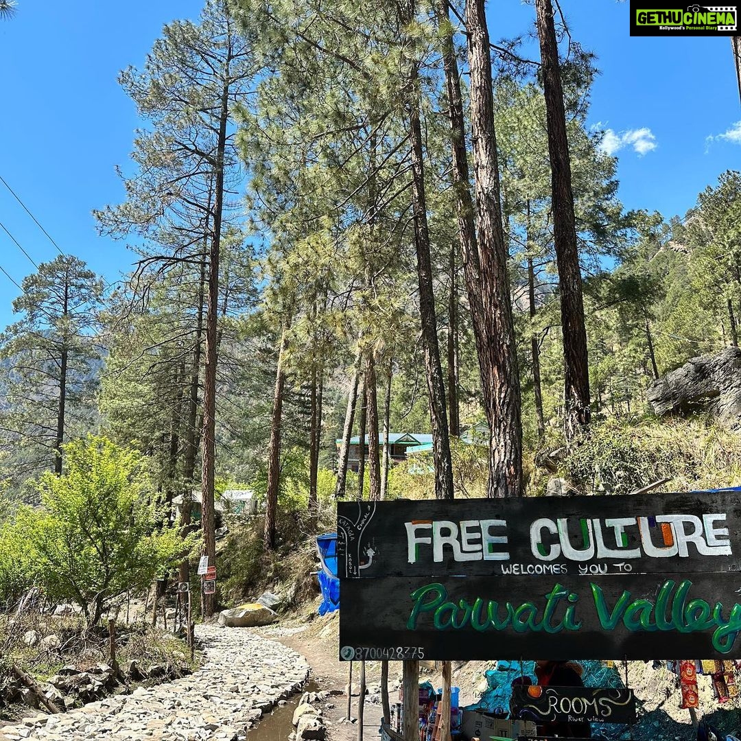 Kanchi Kaul Instagram - Kasol is delightful !!! This scenic village on the banks of the gushing Parvati River in Himachal Pradesh has an unhurried charm and an infectious vibe of its own. The backdrop of this hamlet is the Parvati valley and all its ever charming and quaint villages …. Everyday i would walk around in this “mini Israel” and i still feel I didn’t have enough… The adventurous trek to Chalal village from Kasol with all its trippy cafés through mud paths and innumerable coniferous trees and the sight of Parvati river all along the forest covered path made my day a dreamy and glorious one. Nature feels so good here that you will never want to leave Kasol. The mesmerizing views, beautiful greenery, amazing landscape, phenomenal weather are just some of the things that made this place so unforgettable ….. Until next time …. #kasol #nature #miniisrael #himachalpradesh #hippy #parvativalley #mountain #pahadi #incredibleindia#wanderlust #parvatiriver #theadventuresofAI