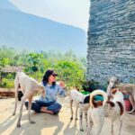 Kanchi Kaul Instagram - #pawsome 🐕 #wildandfree