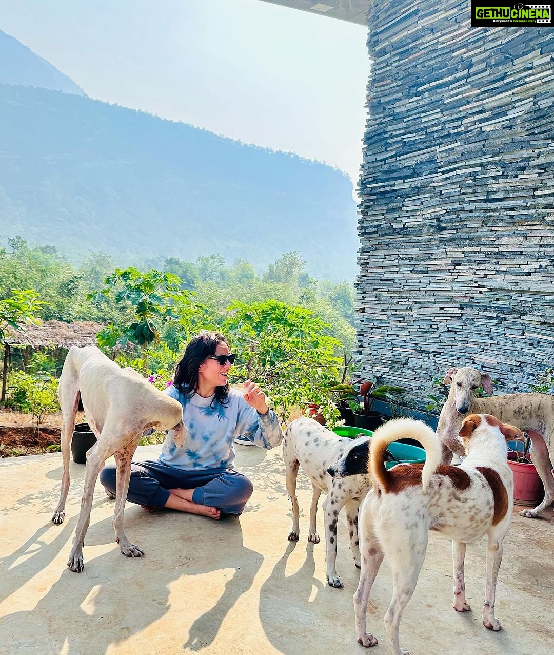 Kanchi Kaul Instagram - #pawsome 🐕 #wildandfree