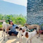 Kanchi Kaul Instagram – #pawsome 🐕 #wildandfree
