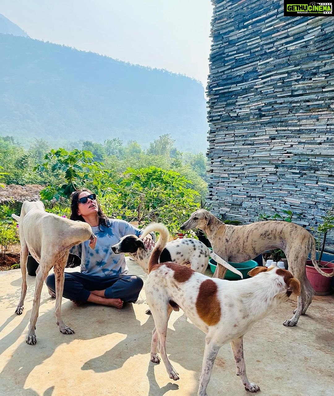 Kanchi Kaul Instagram - #pawsome 🐕 #wildandfree