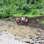 Kanchi Kaul Instagram - Getting mucky with it 😂😂😂😂😂As you sow so shall you reap ✅🌳🎋 #sowingseason #monsoon #organic #oldfashionedfood #theadventuresofAI #farmlife #neveradullmoment