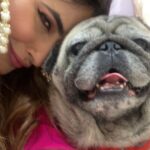 Karishma Sharma Instagram - Diyas, rangoli, and my attempt at not tripping over my festive attire. Diwali adventures! Diwali rule: If it sparkles, it’s worth celebrating. Including my glittery personality. Outfit @sabyasachiofficial