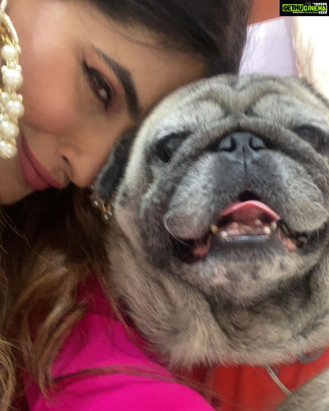 Karishma Sharma Instagram - Diyas, rangoli, and my attempt at not tripping over my festive attire. Diwali adventures! Diwali rule: If it sparkles, it’s worth celebrating. Including my glittery personality. Outfit @sabyasachiofficial