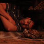 Kartik Aaryan Instagram - Best Actor - Freddy 🖤 A Character that challenged me mentally and physically ( Gained around 15 kgs jisko ghataane mein ab Band baj rahi hai 😭 ) Acknowledgements like these validate the twisted choices I make sometimes! Thank you HT and the fans for honouring the underdog called Freddy! Plus i would like to share this award with My Hardy 🐢😘 @htcity @disneyplushotstar @ottplayapp