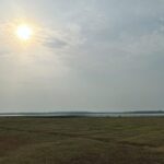Kasthuri Shankar Instagram – Alone. 

#travel #naturelover #tadobaandharitigerreserve