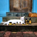 Kavita Kaushik Instagram - Do you know our highly nutritious , effective & potent products are Safe for animals! ,also they are highly beneficial & Safe for human children of all ages, MASSAGE OIL is recommended for babies massage, it strengthens their muscles & bones and is great for skin, fights all rashes & minor infections . FACE & BODY cream should be applied on Cuts, scratches and rashes on animals and human kids too to heal them fast and cure any infections caused too. MASSAGE OIL should be applied on dry skin of pets, FACE MIST when dabbed on wounds will have a curing & healing effect on animals and since everything is natural there be no harm to them❤️ We don't work with toxins, we work with highly potent HERBS , FLOWERS, LEAVES,SEEDS, VEGETABLES, OILS, VITAMINS, PLANT PROTEINS , ROOTS, TREE BARKS and such secret formulas and recipies which are MEDICINAL AYURVEDA. visit our website www.aparnaauntys.com to book your orders, international customers watsapp us 9820378775 to book your orders and we will deliver to your home anywhere in the world. So happy with all your reviews & love. Enjoy using the labour of our hardwork straight from my home to yours 🤗🤗🤗 Kk Ron Lala- model for today