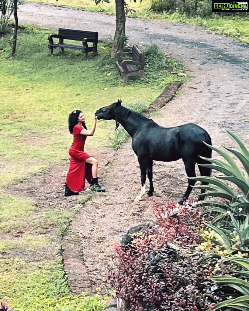 Kavita Kaushik Instagram - Kiss (read bite) of a stallion , Swipe left to see the truth #shivaaz #farm #farmlife #wolves #and #a #Witch