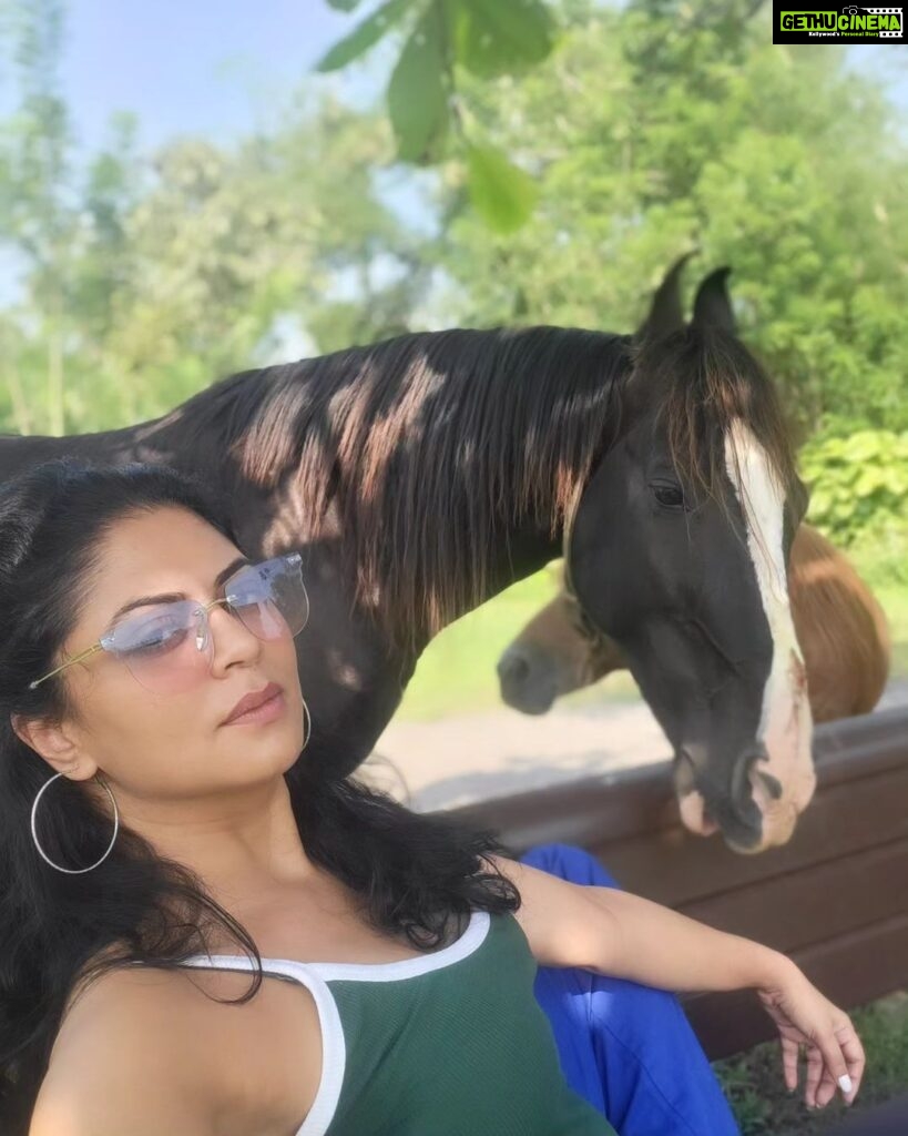 Kavita Kaushik Instagram - Mera badla leta hua Raaka ❤️ INCREDIBLE 😍 #Shivaaz #the #beauty #and #Raaka #on #mommy #duty #you #can't #measure #a #dog's #love #or #ever #repay #it #farmlife #animal #bestfriends #farm #horse #kisses