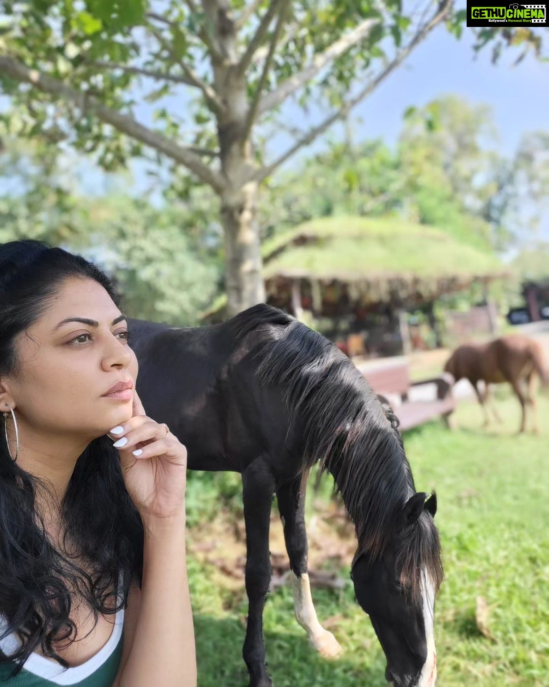 Kavita Kaushik Instagram - Mera badla leta hua Raaka ❤️ INCREDIBLE 😍 #Shivaaz #the #beauty #and #Raaka #on #mommy #duty #you #can't #measure #a #dog's #love #or #ever #repay #it #farmlife #animal #bestfriends #farm #horse #kisses