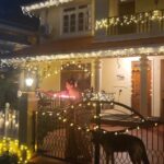 Kavita Kaushik Instagram – Happy Diwali ✨️ From the Animal home, From Aparna Aunty’s Homemade Beauty Secrets and From K & Ron .
Love and light ❤️ 
#we #love #our #Ayurvedic #business #and #we #love #to #mind #it #too #busy #in #health #and #healing