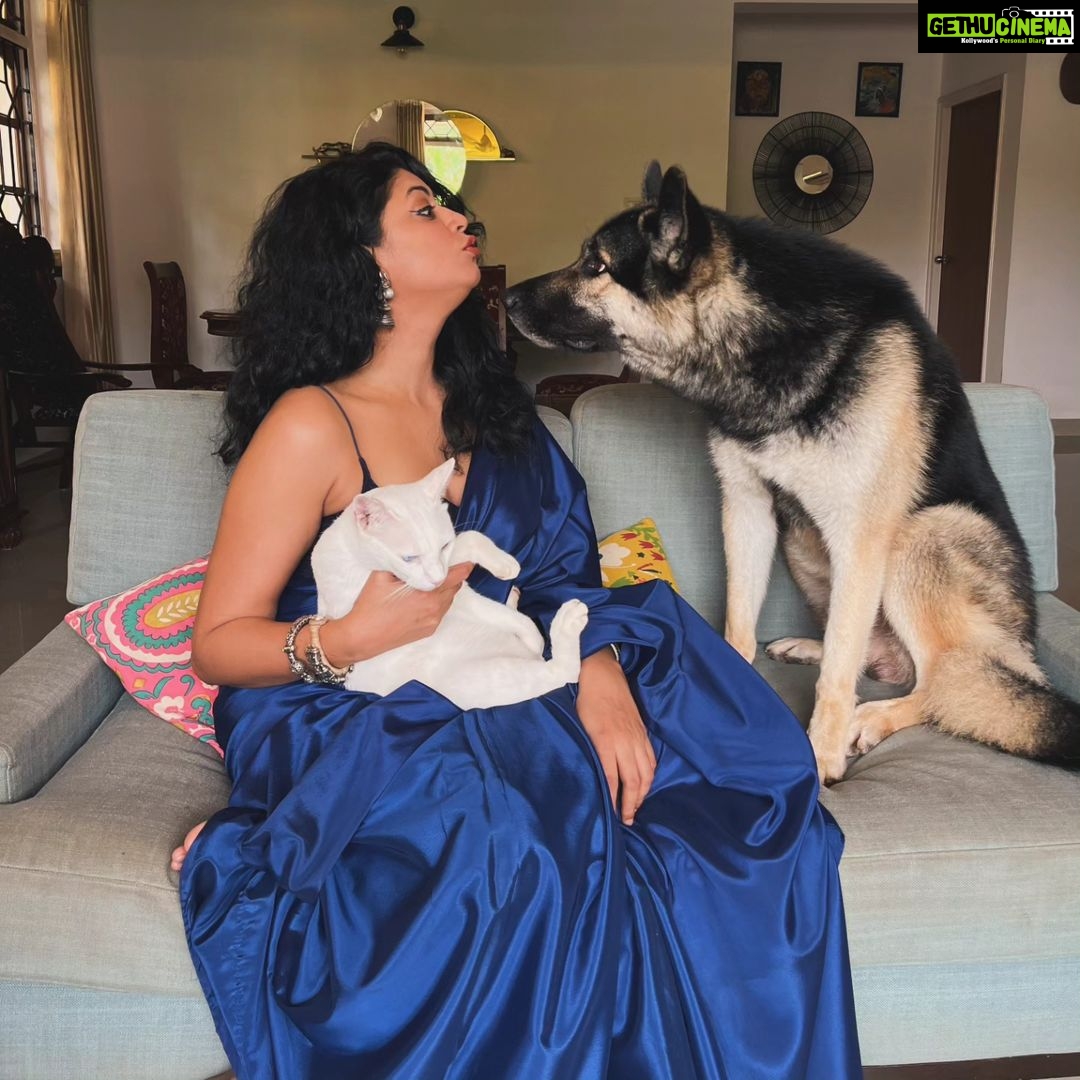 Kavita Kaushik Instagram - "K- Baalak, sofey pe kaise Chad ra ? Raaka- you said we are all same. K- yes but my feet don't have mud on them. Raaka- I have paws- problem solved Lala- Too white to be bothered. Ima bounce." #look #at #Raaka's #sulking #eyes I tried a lot to get the whole family together for a picture but ye jaanwaron jaisa behave karte hai saarey ! Including me 🤪 Happy Diwali from Ron, Kk, jaggu, Raaka , lala & cc 💖 Wearing My Mom's (your #AparnaAunty's) 40 years old saaree ! Look at the shine still like new , vintage is the best 😍