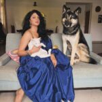 Kavita Kaushik Instagram – “K- Baalak, sofey pe kaise Chad ra ?
Raaka- you said we are all same.
K- yes but my feet don’t have mud on them.
Raaka- I have paws- problem solved
Lala- Too white to be bothered. Ima bounce.”
#look #at #Raaka’s #sulking #eyes 
I tried a lot to get the whole family together for a picture but ye jaanwaron jaisa behave karte hai saarey ! Including me 🤪 Happy Diwali from Ron, Kk, jaggu, Raaka , lala & cc 💖
Wearing My Mom’s (your #AparnaAunty’s) 40 years old saaree ! Look at the shine still like new , vintage is the best 😍