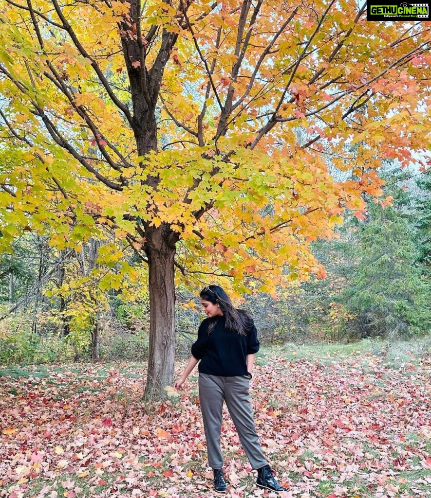Keerthi shanthanu Instagram - October love 🍁🍂 #autumnvibes #canada #love #shades 📸 @chithrapriya