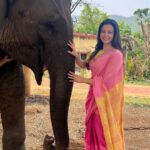 Koel Mallick Instagram - As I tried making friends with a very BIG co-actor before shoot …she turned out to be a rather cute & a friendly one! Was a delight having her with us in #jongolemitinmashi 🐘❤️#Pujo2023 #ecology #forest #saranda #love #life 😇