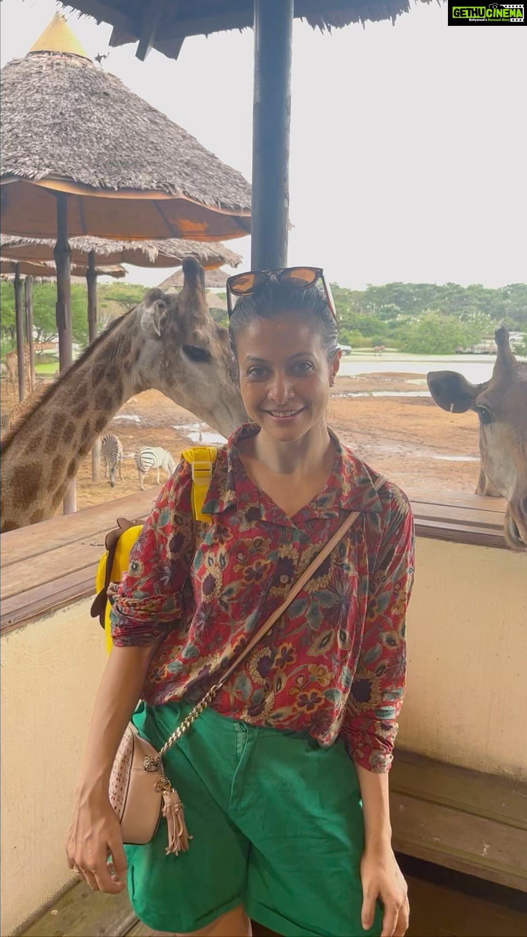 Koel Mallick Instagram - Cheers to life 😇❤️ #family #bliss #love #happiness #blessings #life #safariworld #thailanddiaries2023