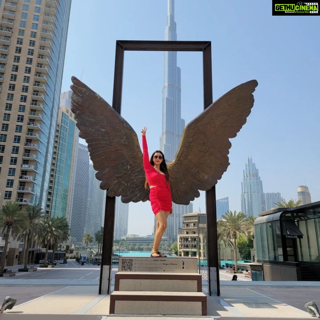 Koushani Mukherjee Instagram - Wings Of Dreams💙💙💜💜