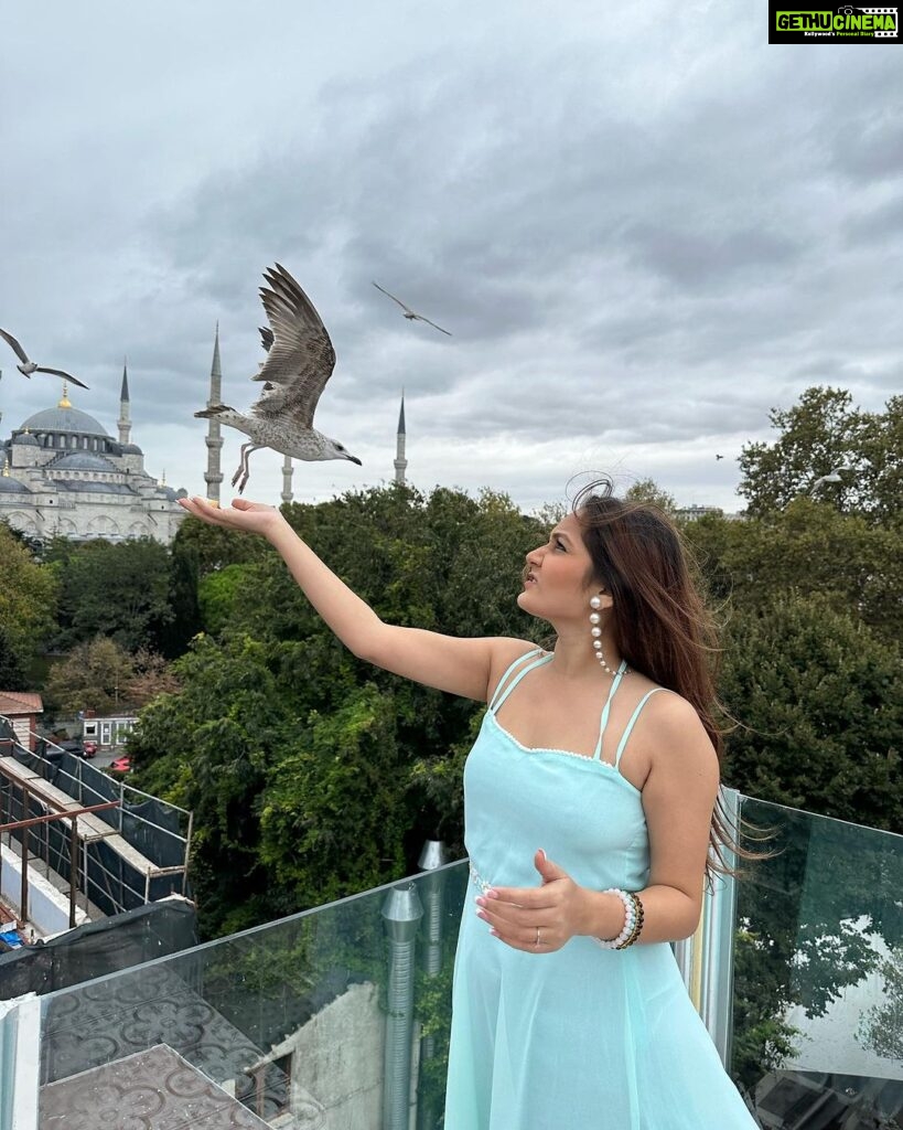 Kritika Sharma Instagram - Kabootar aa aa aa - NAHI AYA! @sevenhillsrestaurant #travel #turkey #istanbul Istanbul, Turkey