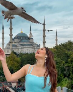 Kritika Sharma Instagram - Tourists Spots to visit in Istanbul Part - 2 
1.  Blue Mosque 
2.  Seven Hills restaurant - they let you feed the birds and you can see blue mosque and Hagia Sofia as well so do visit 
3.  Grand Bazaar - For shopping and bargaining is must ! 
4.  Topkapi Palace 
5.  Galata Tower 
6.  Suleymainiye Mosque
7.  Taksim Street 
8.  Baklava and Turkish Tea 
9.  Kumpir - potato filled with veggies and sauces a famous street food for vegetarians 
10. The famous St Sebastian cake at Galata Tower! 
 
Comment below if you have any questions ! 
Outfit Details
Blue dress @thesushclothing 
Orange dress @label.taikee 
Styled by @_vaishnavii.3011 

#turkey #istanbul #2023 
#touristsplacesinistanbul #travel #tourist