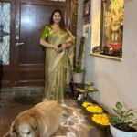Kushboo Instagram - Drapes for golu festive.. which is your fav? Do let me know. ❤️ #sareelove #traditional #indianness