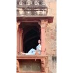 Kyra Dutt Instagram – 🕊 #SocialDistancing Lodi Gardens