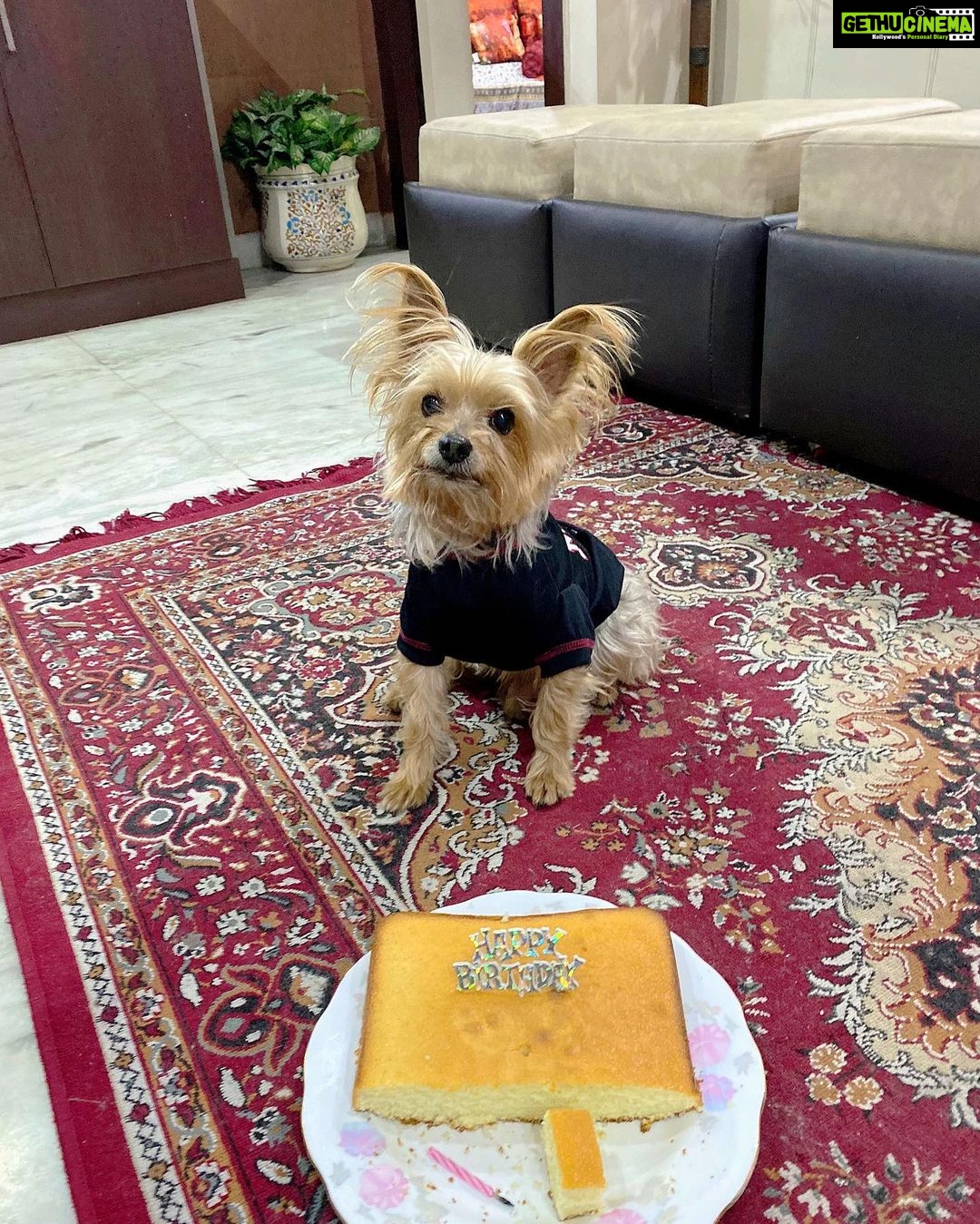 Kyra Dutt Instagram - Happy Birthday My Son! #BabyBruno🐾 10 Yrs Today! Big Boy! Always my Baby. My only one. Valentines Day will always be special for all the love you bring into my life #UnconditionalLove❤️ I baked him a cake today & he loved it. Mamma’s Jaan! God Bless.🤗😘 #HappyBirthday🎂
