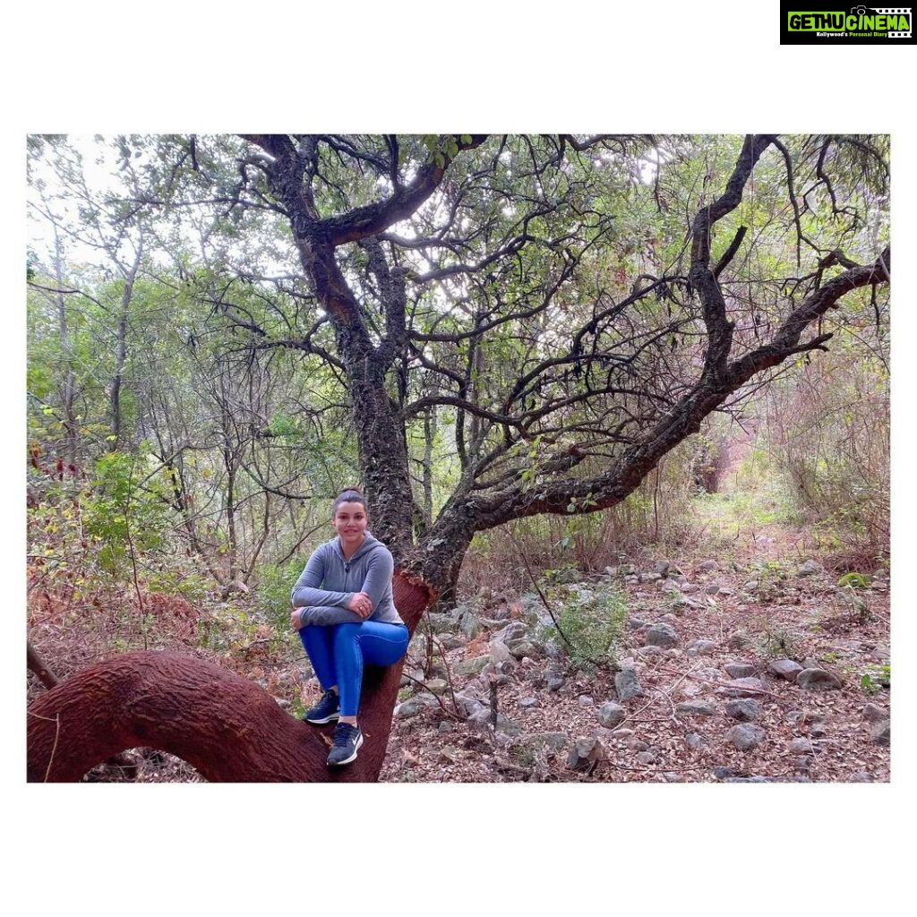 Kyra Dutt Instagram - Another Day, Another Trek! Into the wild! Sitting on a half shaved cork oak tree! This is where the cork on your wine bottle comes from! Salud!🍷🌳