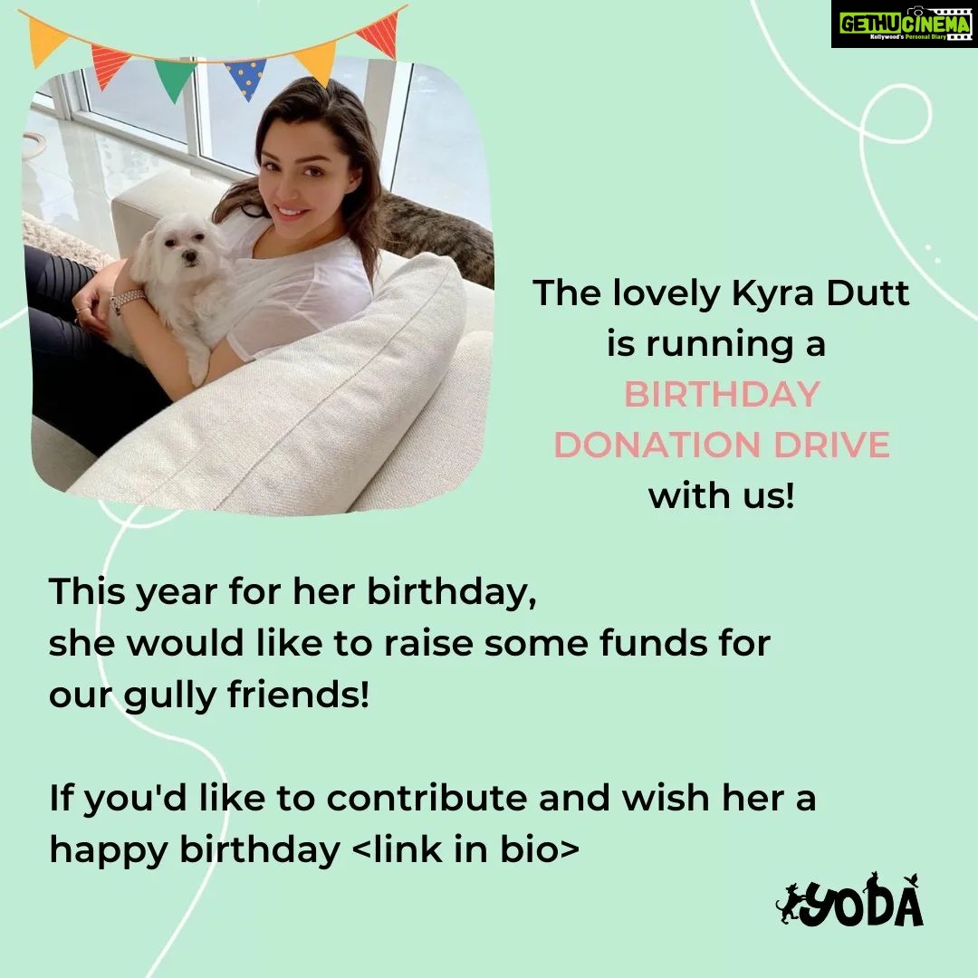 Kyra Dutt Instagram - The lovely and generous @kyradutt is running a *BIRTHDAY DONATION DRIVE* till the 12th of March (her birthday 🥳) Thank you so much Kyra for being a great patron and for your generosity. These funds will help us greatly! If you'd like to contribute and wish Kyra a very happy birthday, please click the and go to the 'Donation Drive | Kyra Dutt's Birthday' tab! #birthdaydonation #donationdrive #kyradutt #helpthehelpless #saveourstrays #donationsappreciated #donatelife #YODAmumbai #GullyGuardians #patronsofYODA #yodaanimalshelter #YODAGuardians