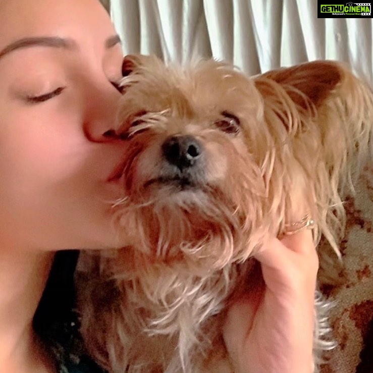 Kyra Dutt Instagram - BAE💕 Bruno & I have a very important message for everyone. This Diwali celebrate cracker free. Love & Light.